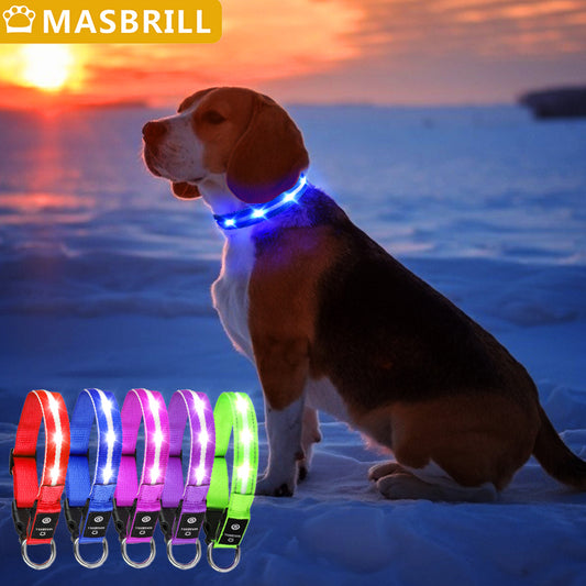 MASBRILL Light Up Dog Collar Waterproof USB Rechargeable Glowing