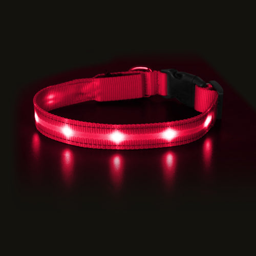 MASBRILL Light Up Dog Collar Waterproof USB Rechargeable Glowing