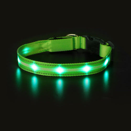 MASBRILL Light Up Dog Collar Waterproof USB Rechargeable Glowing